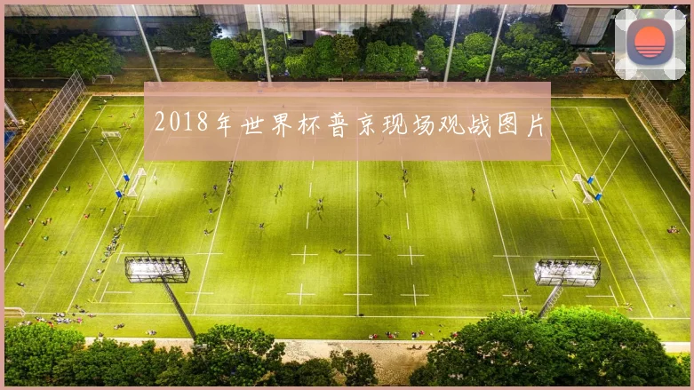 2018年世界杯普京现场观战图片