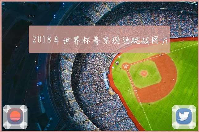 2018年世界杯普京现场观战图片